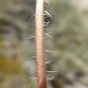 Img.VTax3302.Ex1.Img4