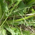 Img.VTax3318.Ex1.Img4