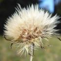 Img.VTax3320.Ex1.Img9
