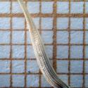 Img.VTax3320.Ex2.Img2