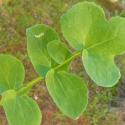 Img.VTax3348.Ex1.Img5