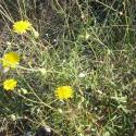 Img.VTax3348.Ex1.Img9