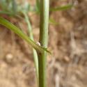 Img.VTax3348.Ex2.Img4