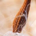 Img.VTax3348.Ex3.Img3