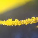Img.VTax3348.Ex3.Img4