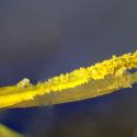 Img.VTax3348.Ex3.Img5