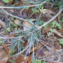 Img.VTax3361.Ex2.Img2