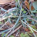 Img.VTax3361.Ex2.Img3