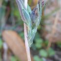 Img.VTax3361.Ex2.Img6