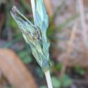 Img.VTax3361.Ex2.Img7