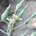 Img.VTax3362.Ex1.Img6