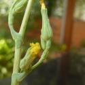 Img.VTax3362.Ex2.Img6