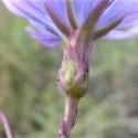 Img.VTax3365.Ex1.Img2