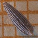 Img.VTax3366.Ex1.Img2