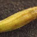 Img.VTax3372.Ex3.Img6