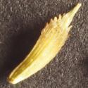 Img.VTax3372.Ex3.Img7