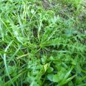 Img.VTax3388.Ex1.Img1
