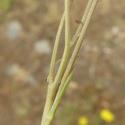 Img.VTax3388.Ex2.Img2