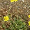 Img.VTax3388.Ex2.Img3