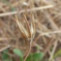 Img.VTax3388.Ex3.Img5