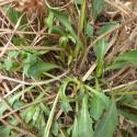 Img.VTax3388.Ex3.Img8
