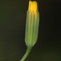 Img.VTax3389.Ex1.Img1