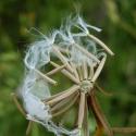 Img.VTax3389.Ex2.Img8