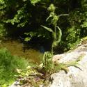 Img.VTax3391.Ex1.Img3
