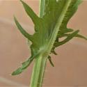 Img.VTax3391.Ex1.Img5