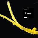 Img.VTax3392.Ex2.Img4