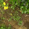 Img.VTax3393.Ex1.Img1