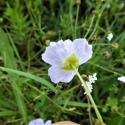 Img.VTax3469.Ex2.Img3
