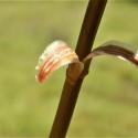 Img.VTax3508.Ex2.Img1
