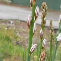 Img.VTax3510.Ex1.Img7