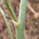 Img.VTax3510.Ex2.Img3