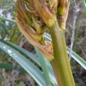 Img.VTax3515.Ex2.Img6