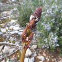 Img.VTax3515.Ex2.Img7