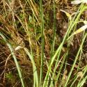 Img.VTax3516.Ex2.Img1