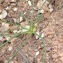 Img.VTax3516.Ex2.Img7