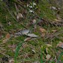 Img.VTax3518.Ex1.Img1