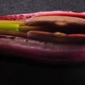 Img.VTax3542.Ex5.Img7