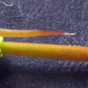 Img.VTax3542.Ex5.Img9