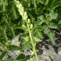 Img.VTax3545.Ex1.Img3