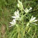 Img.VTax3546.Ex1.Img5