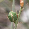 Img.VTax3559.Ex2.Img1