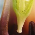 Img.VTax3560.Ex3.Img3