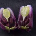 Img.VTax3560.Ex3.Img8