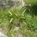 Img.VTax3563.Ex2.Img3