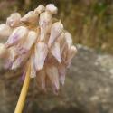 Img.VTax3578.Ex1.Img1