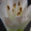 Img.VTax3587.Ex1.Img5